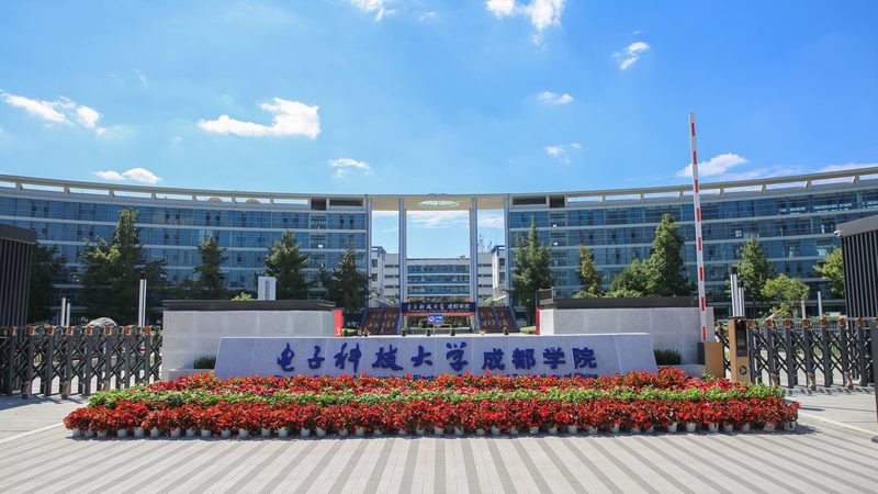 水泥电阻：揭秘十大品牌背后的技术实力与市场选择**