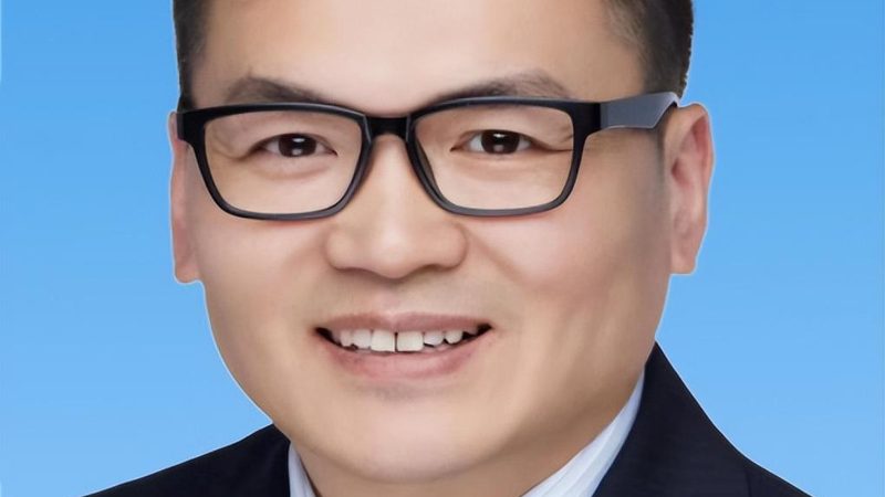 电子加工定制：如何规避潜在风险，确保项目成功？**